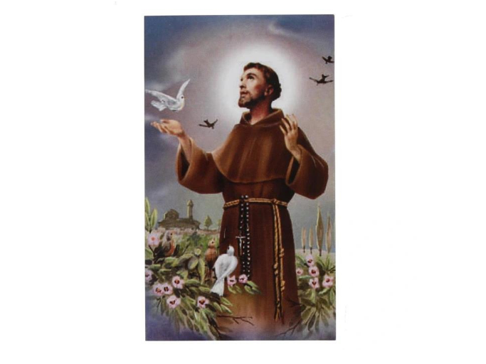 SAN FRANCESCO PER I RAGAZZI DEL CATECHISMO